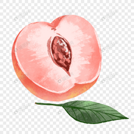91免会员版APPAPP应用